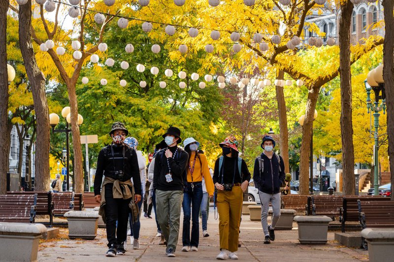 Group of students walk down a pathway in a park with trees and decorative lights above their heads during the daytime. Click to read story.