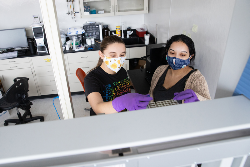 Professor and student researcher work together in lab.